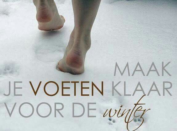 2a526b22f8fdc93faf32450401d61ace 2a526b22f8fdc93faf32450401d61ace